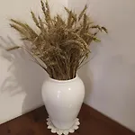 La Dolce Agogia * Assisi