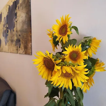 La Dolce Agogia * Assisi