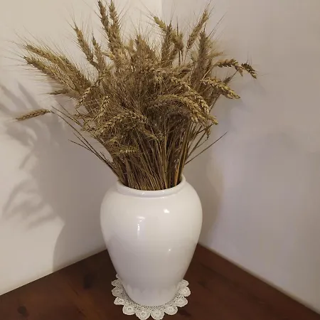 La Dolce Agogia * Assisi