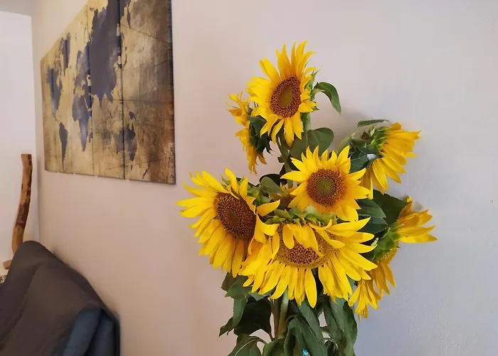 La Dolce Agogia * Asís