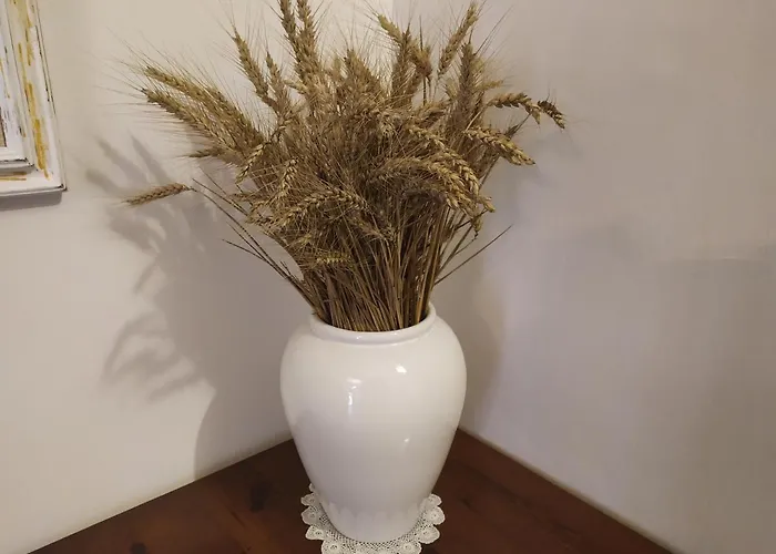 La Dolce Agogia * 아시시